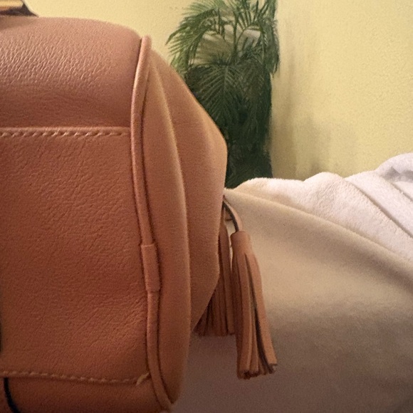 Dooney and Bourke Florentine Pink mave Leather Handbag - Picture 5 of 9